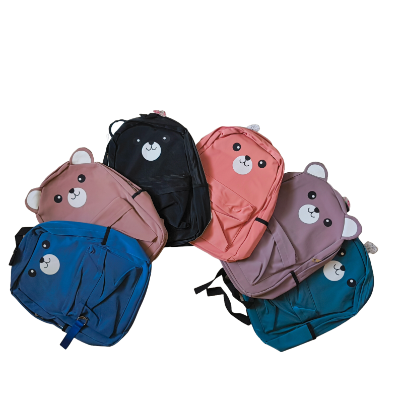 College Bags For Girls, 2 Zips, 2 water Bottles packet