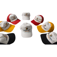 Customized cap for men and women with dual colour